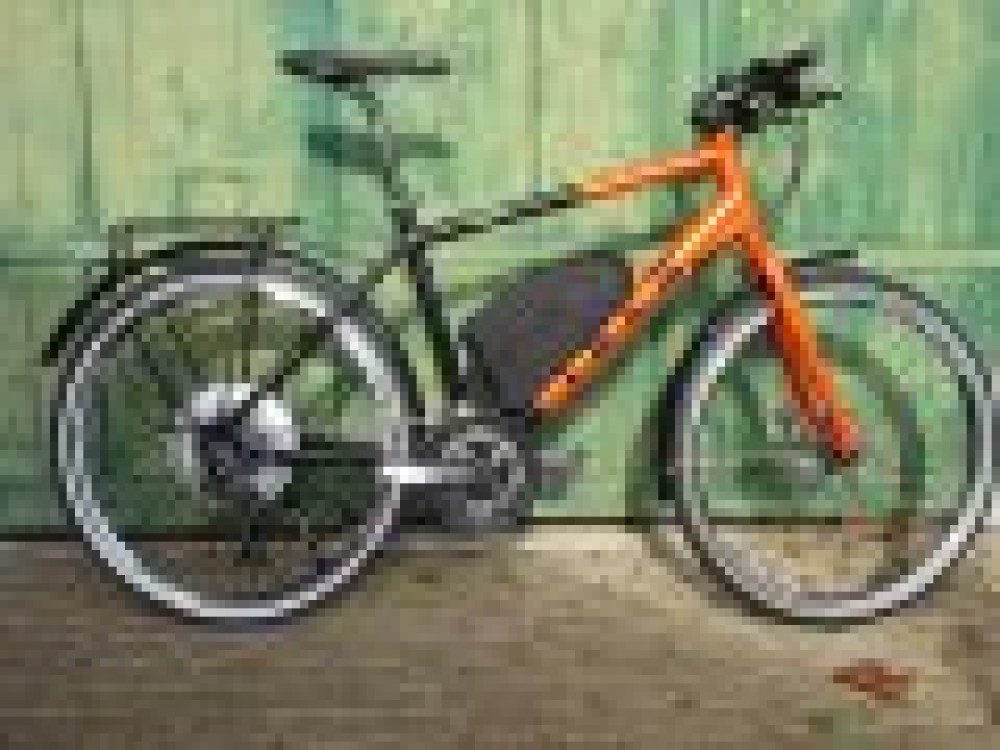 Accessoire Bionx : Couvre batterie noir