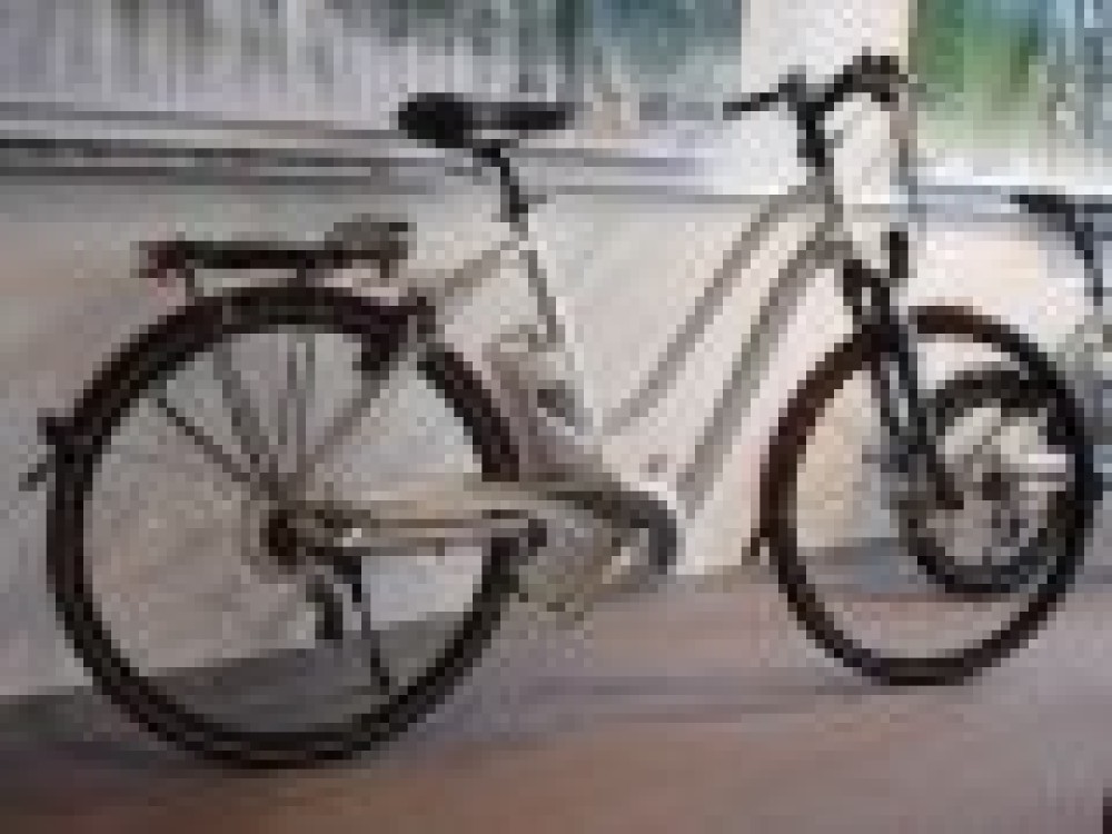 Nous avons re&ccedil;u un L5 de la marque Flyer, venez l'essayer !